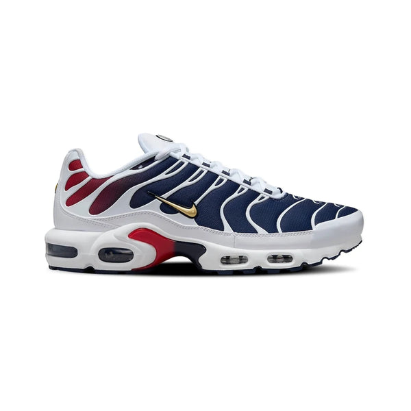 Tênis Nike Air Max Plus “psg” Colorido