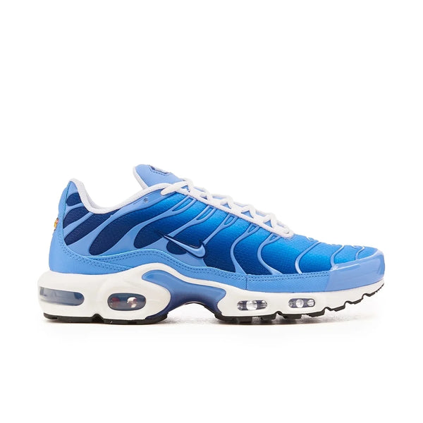 Tênis Nike Air Max Plus Azul