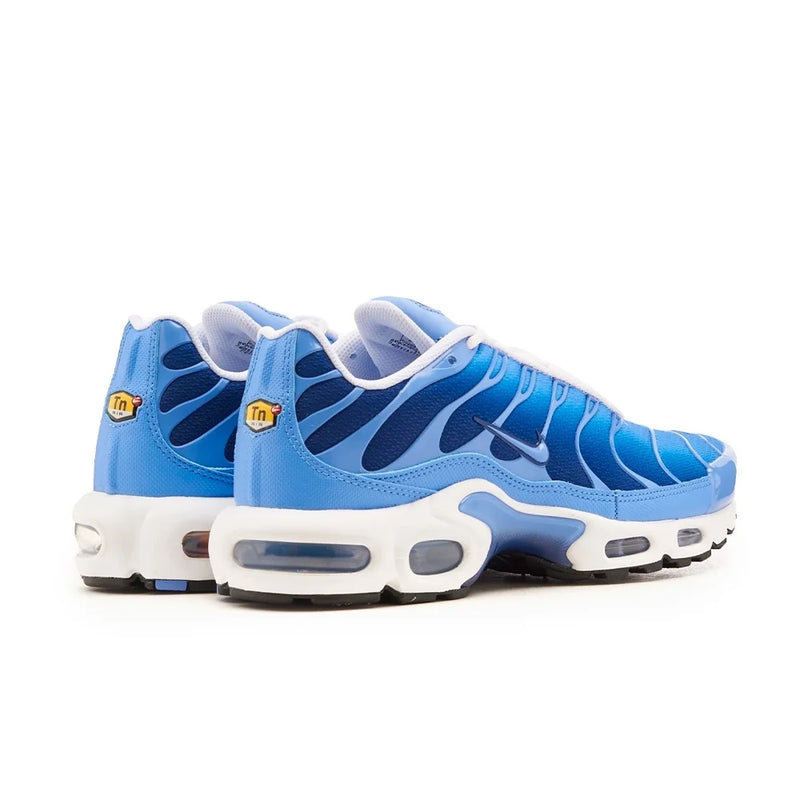 Tênis Nike Air Max Plus Azul