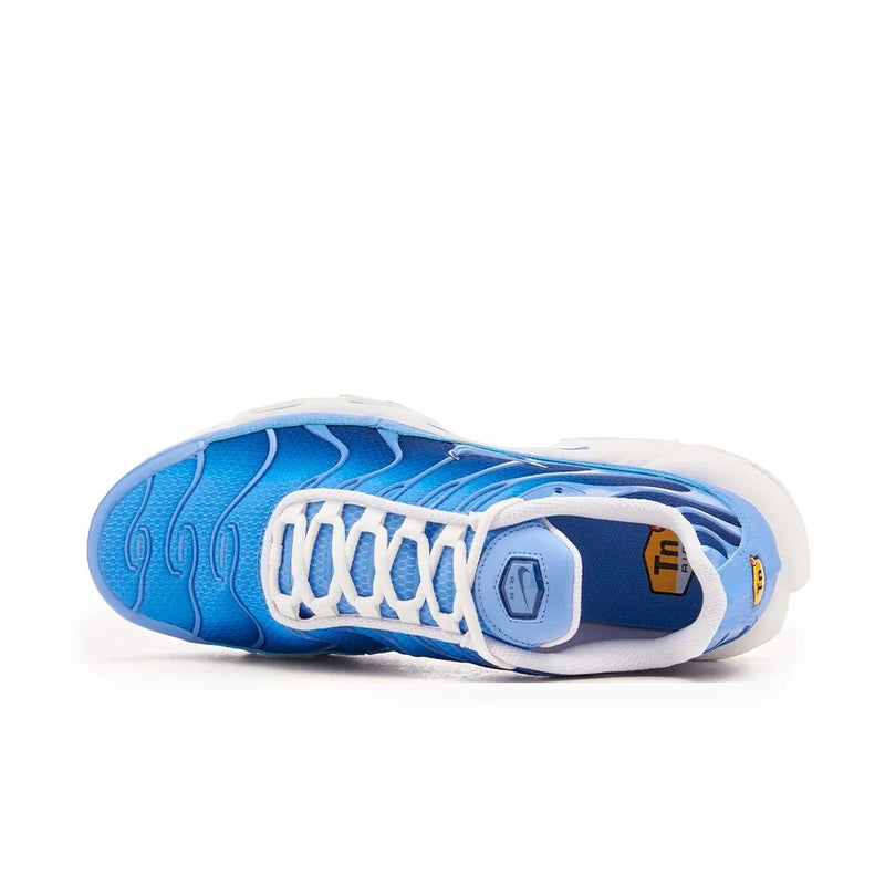 Tênis Nike Air Max Plus Azul